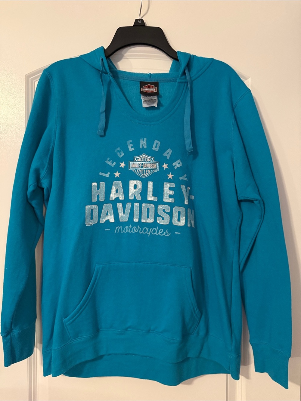 Harley-Davidson Teal Zip-Up Hoodie with Logo